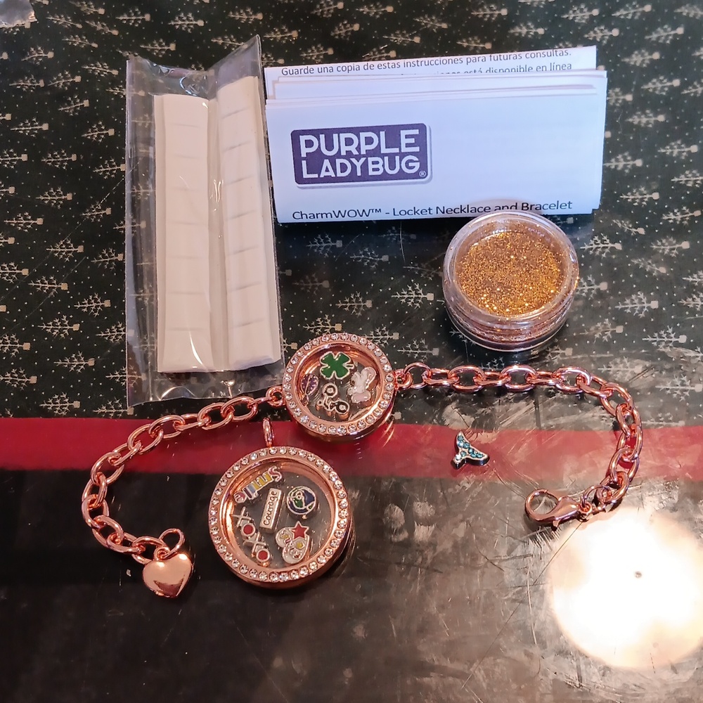 PURPLE LADYBUG FLOATING CHARM BRACELET AND LOCKET